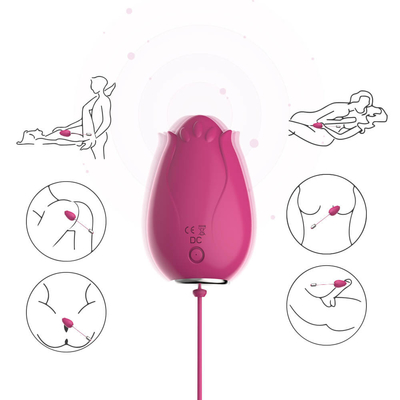 G-Stellen-vibrierendes Ei-Sexspielzeug zur Frauen-drahtlosen Steuerung Mini Flower Silicone