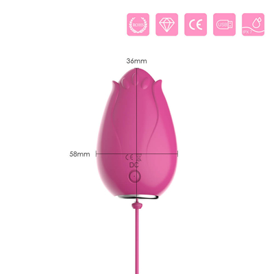 G-Stellen-vibrierendes Ei-Sexspielzeug zur Frauen-drahtlosen Steuerung Mini Flower Silicone