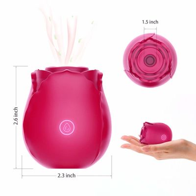 10 Modi Rose Clitoral Sucking Vibrator Rechargeable, die Vibrator für Frau saugt