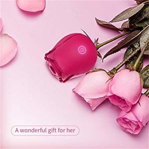 10 Modi Rose Clitoral Sucking Vibrator Rechargeable, die Vibrator für Frau saugt