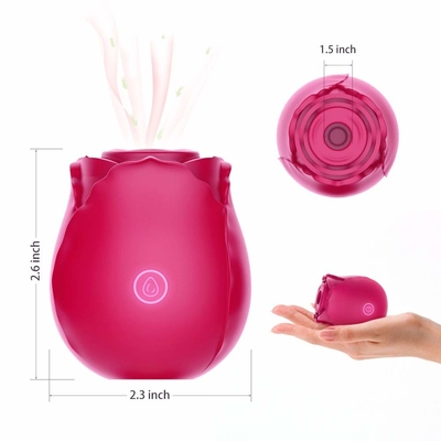 Frauen-Klitoris und Nippel, die Sex-Toy Nipple Suction Vibrator For-Frau saugen