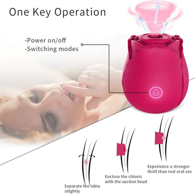 Frauen-Klitoris und Nippel, die Sex-Toy Nipple Suction Vibrator For-Frau saugen