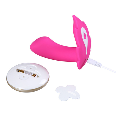 Verbinden Sie Langstreckentragbaren Fernsteuerungsvibrator für Frauen