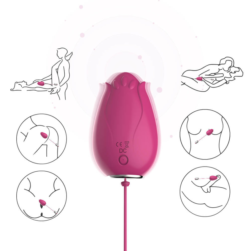 G-Stellen-vibrierendes Ei-Sexspielzeug zur Frauen-drahtlosen Steuerung Mini Flower Silicone